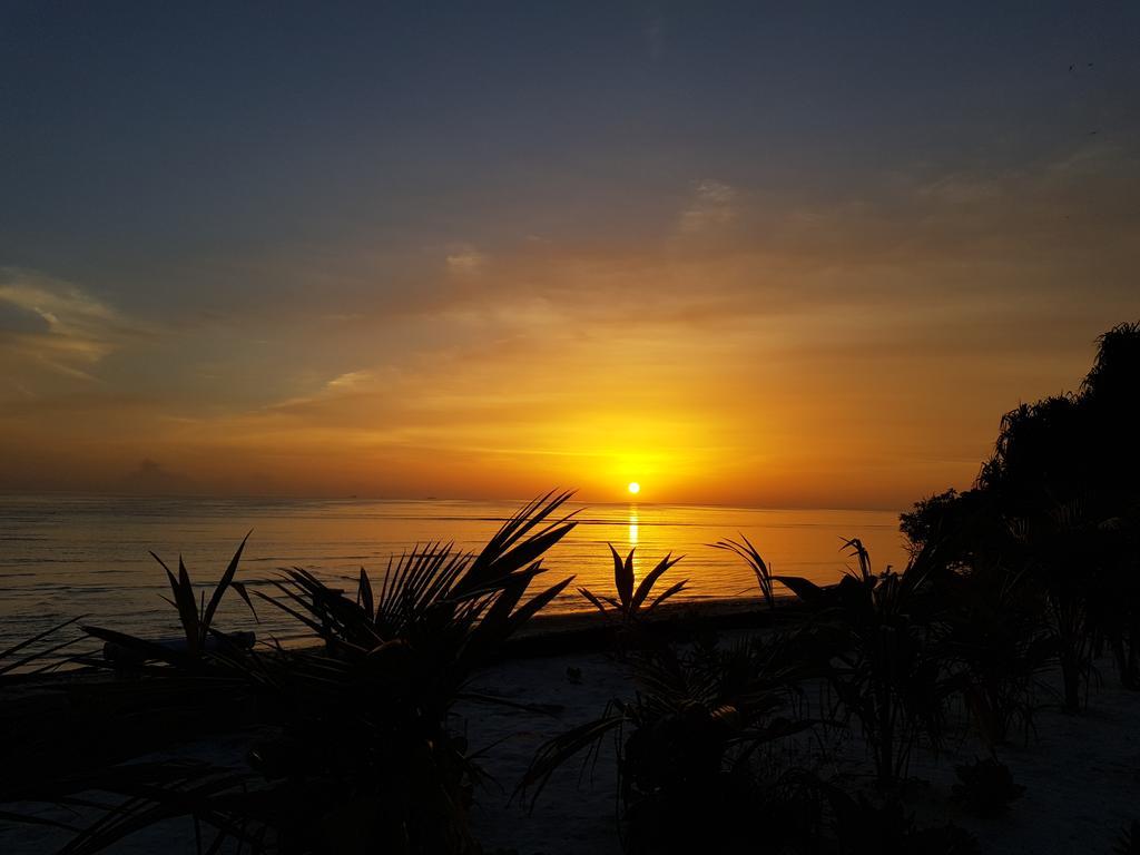 Отель Island Guest Maamendhoo Экстерьер фото